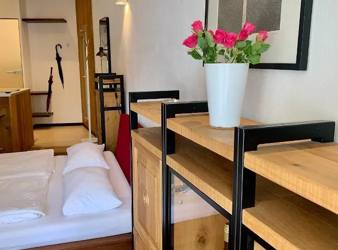 Appartamento Im Herzen Der Passauer Altstadt Passavia
